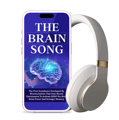 The Brain Song Program
